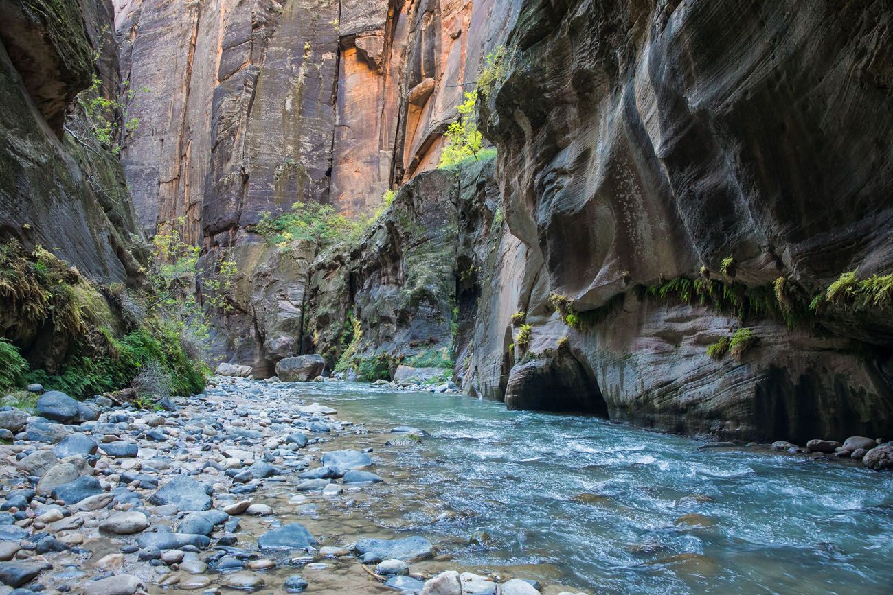 Best Zion Hike