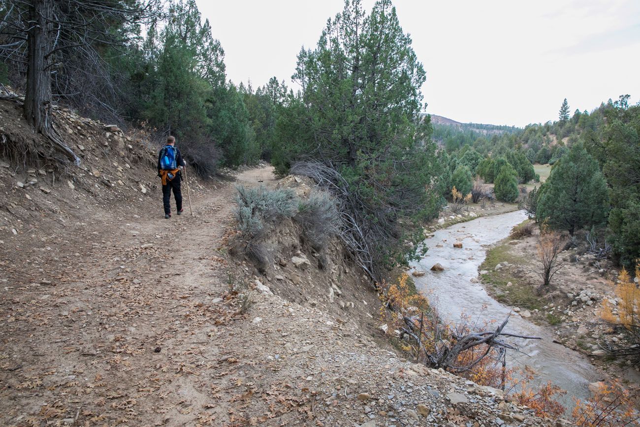 Chamberlains Ranch Trail