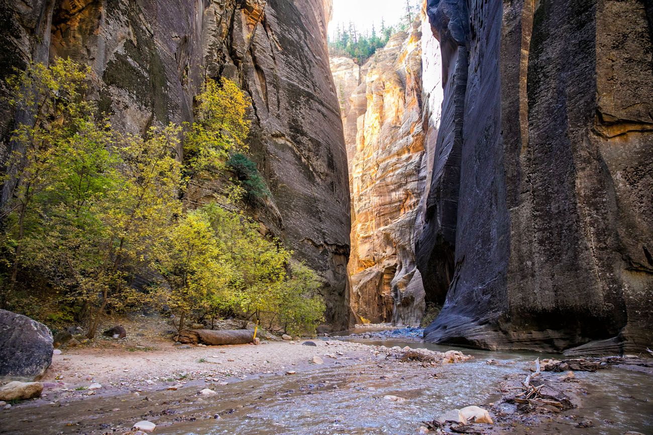 Deep Creek Zion Narrows