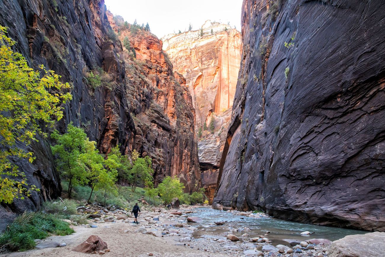 Hiking Zion Narrows