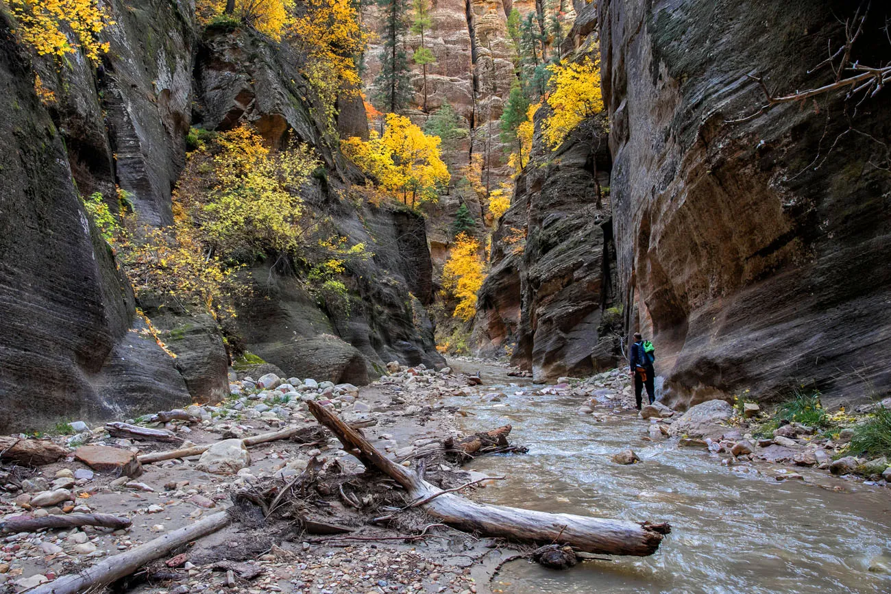 Hiking Zion