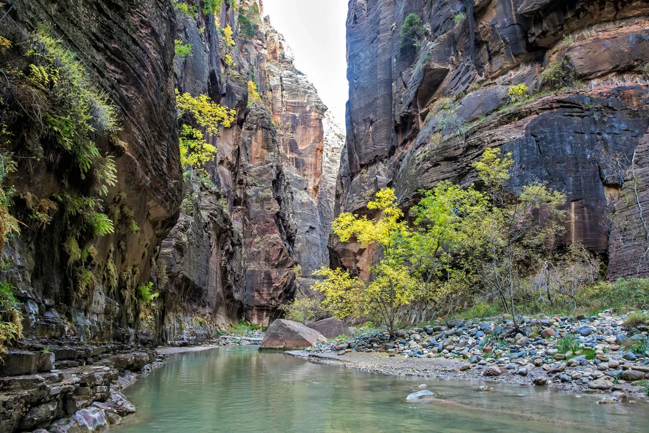 Zion in October