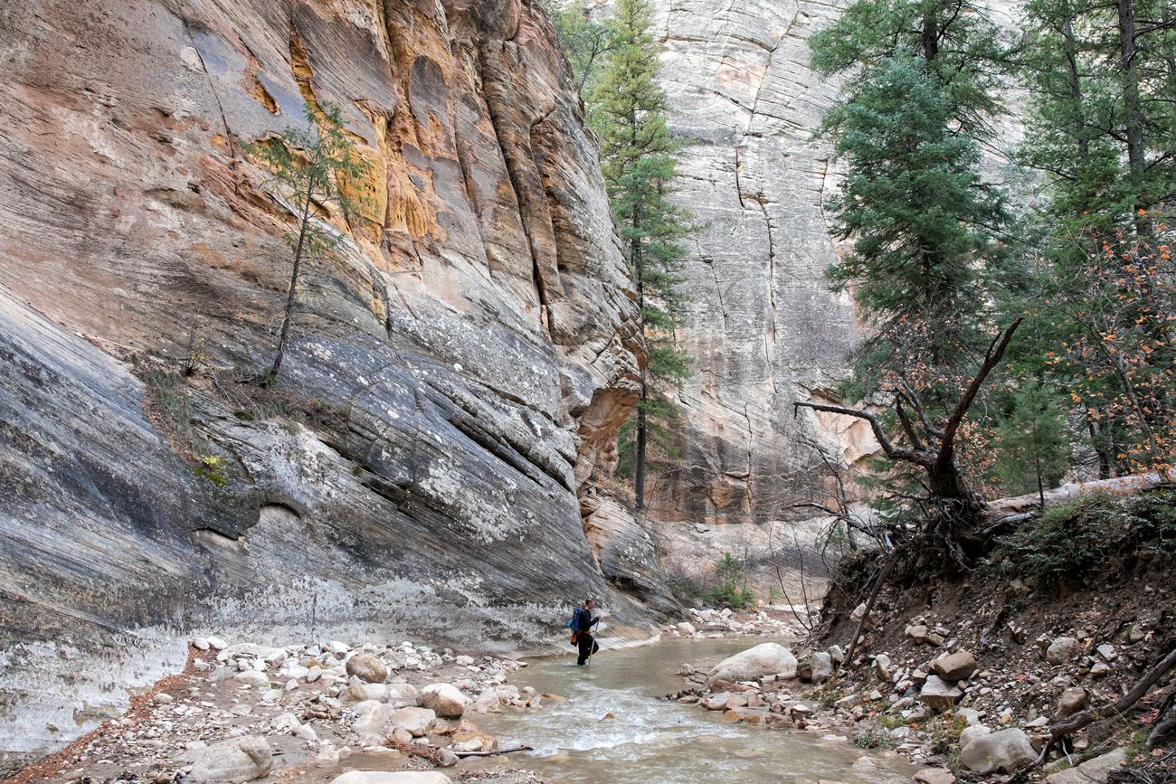 Tim hiking the Narrows