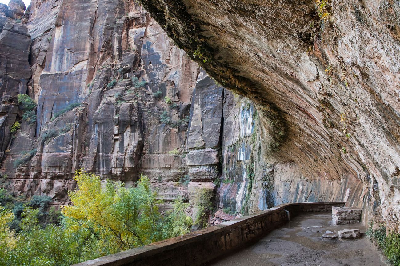 Weeping Rock