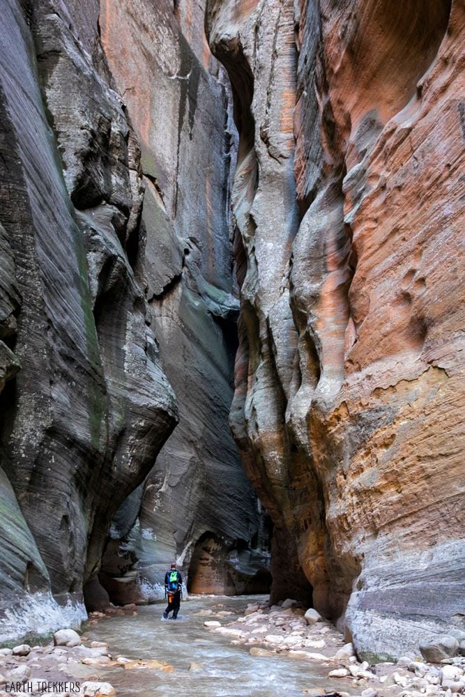 Zion Narrows Hike