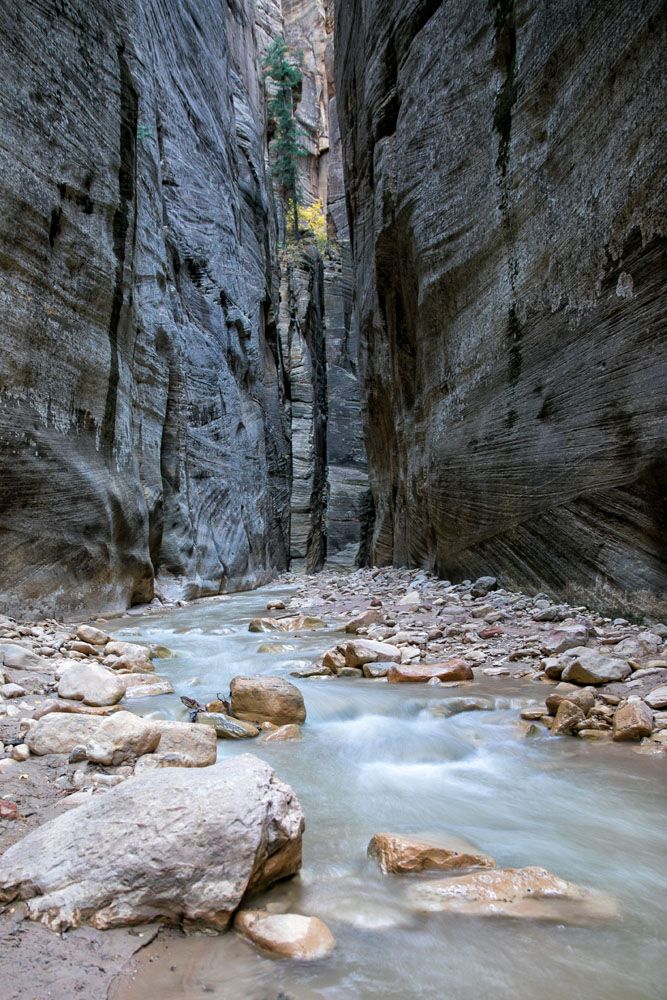 Zion Narrows Hike in Autumn