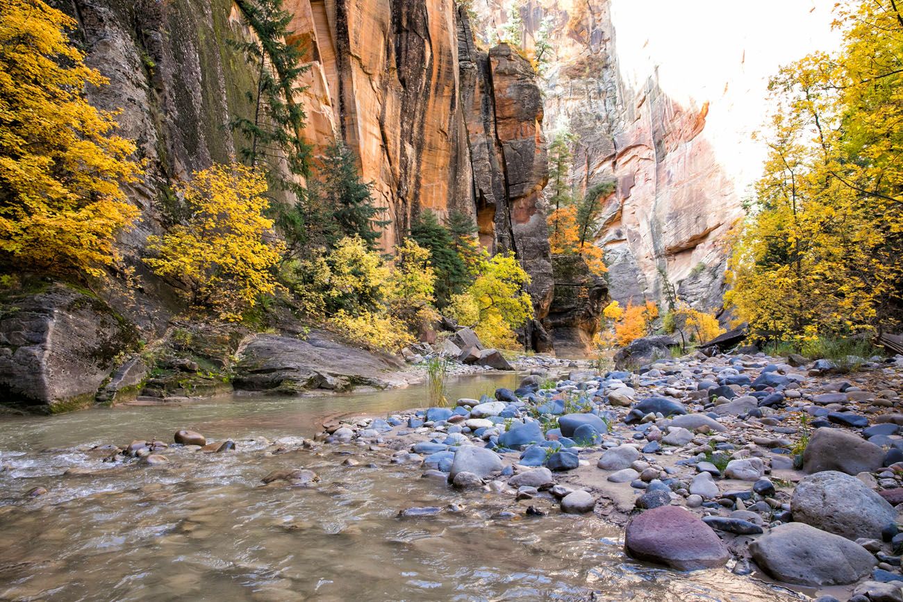 Zion Narrows Hike