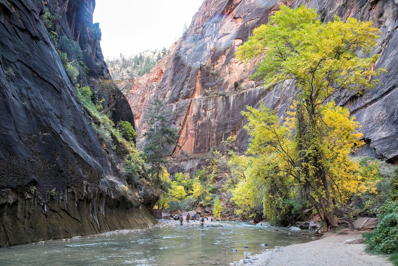 Zion Narrows Riverside Walk