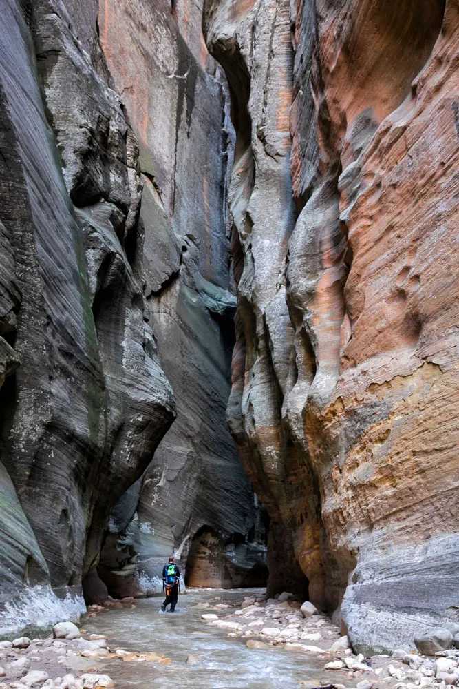 Zion Narrows Top Down