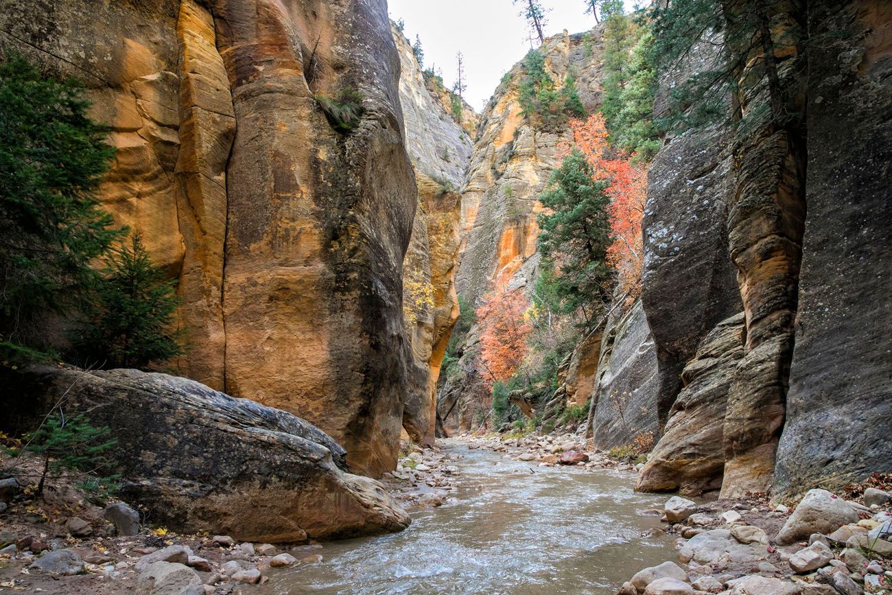 Zion Narrows in Autumn