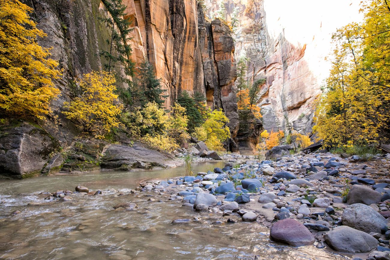 Zion Narrows in Photos