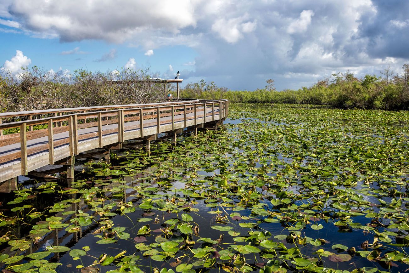 Everglades National Park