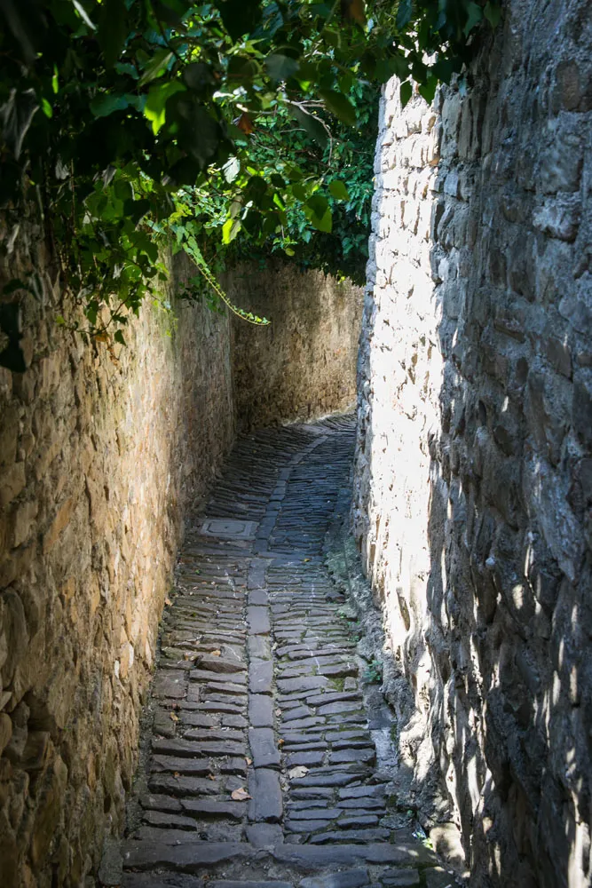 Cobblestone Lane