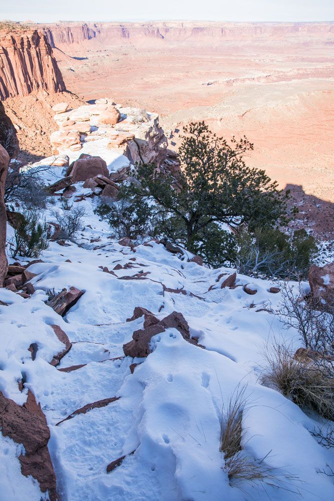 Gooseberry Trail in December