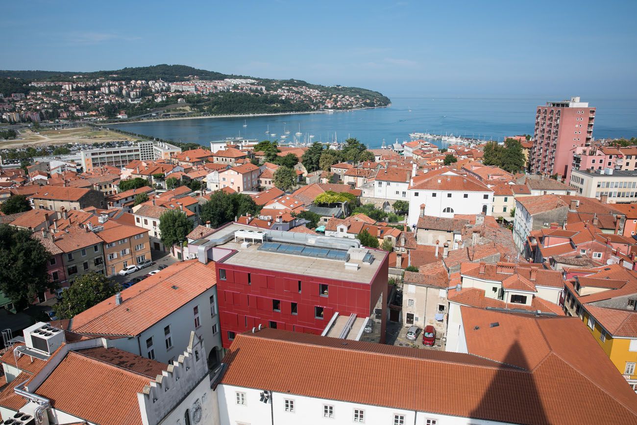 View from the bell tower