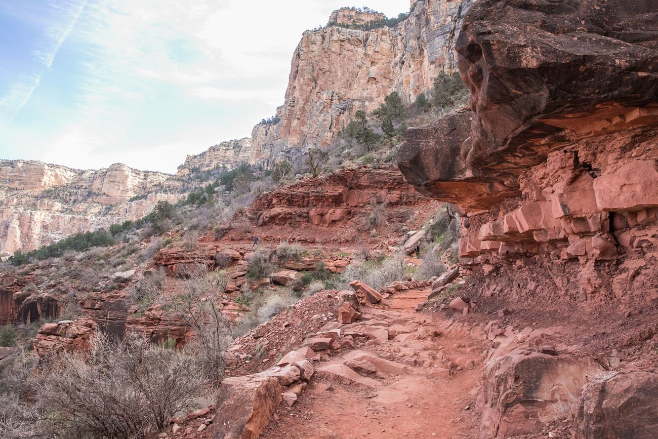 View of the Trail