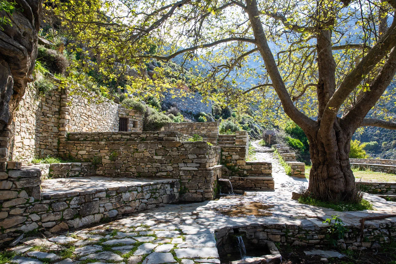 Aria Spring