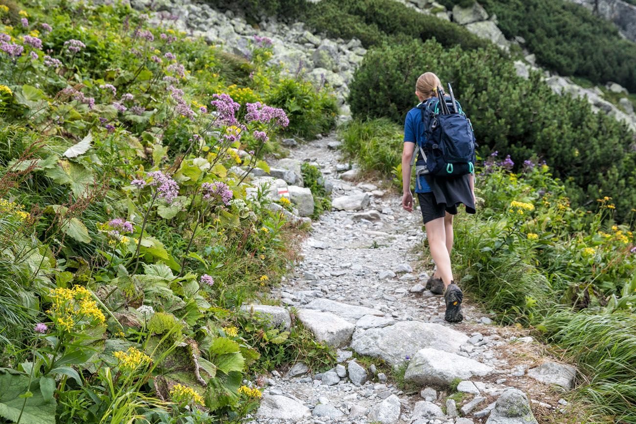 Hiking in July