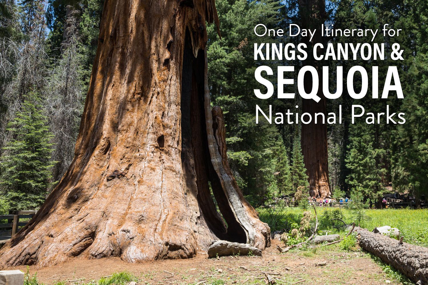Kings Canyon Sequoia