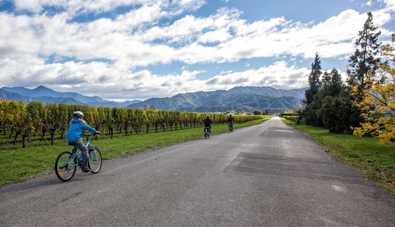 Marlborough Wine Region