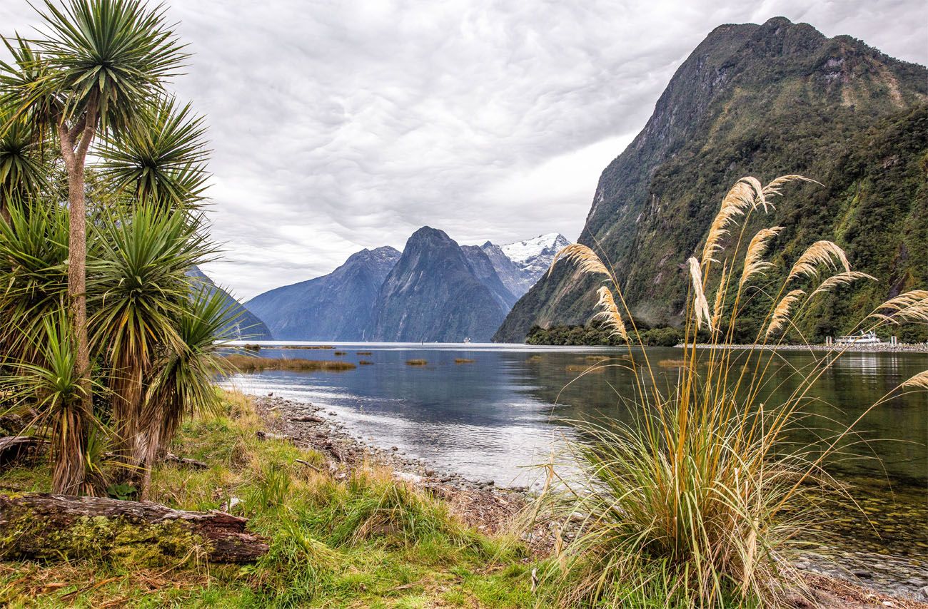 Milford Sound | 3 Week New Zealand Itinerary