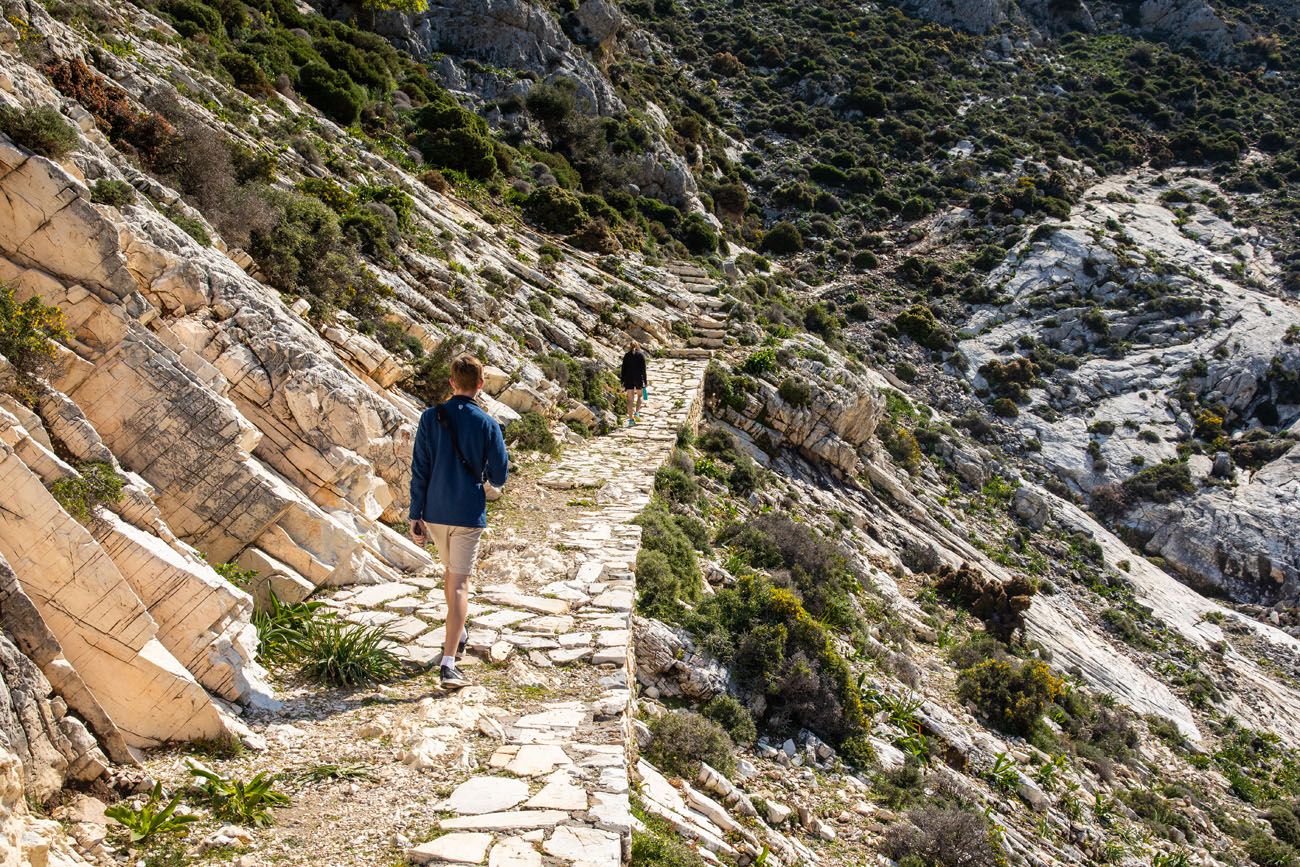 Mount Zeus Trail