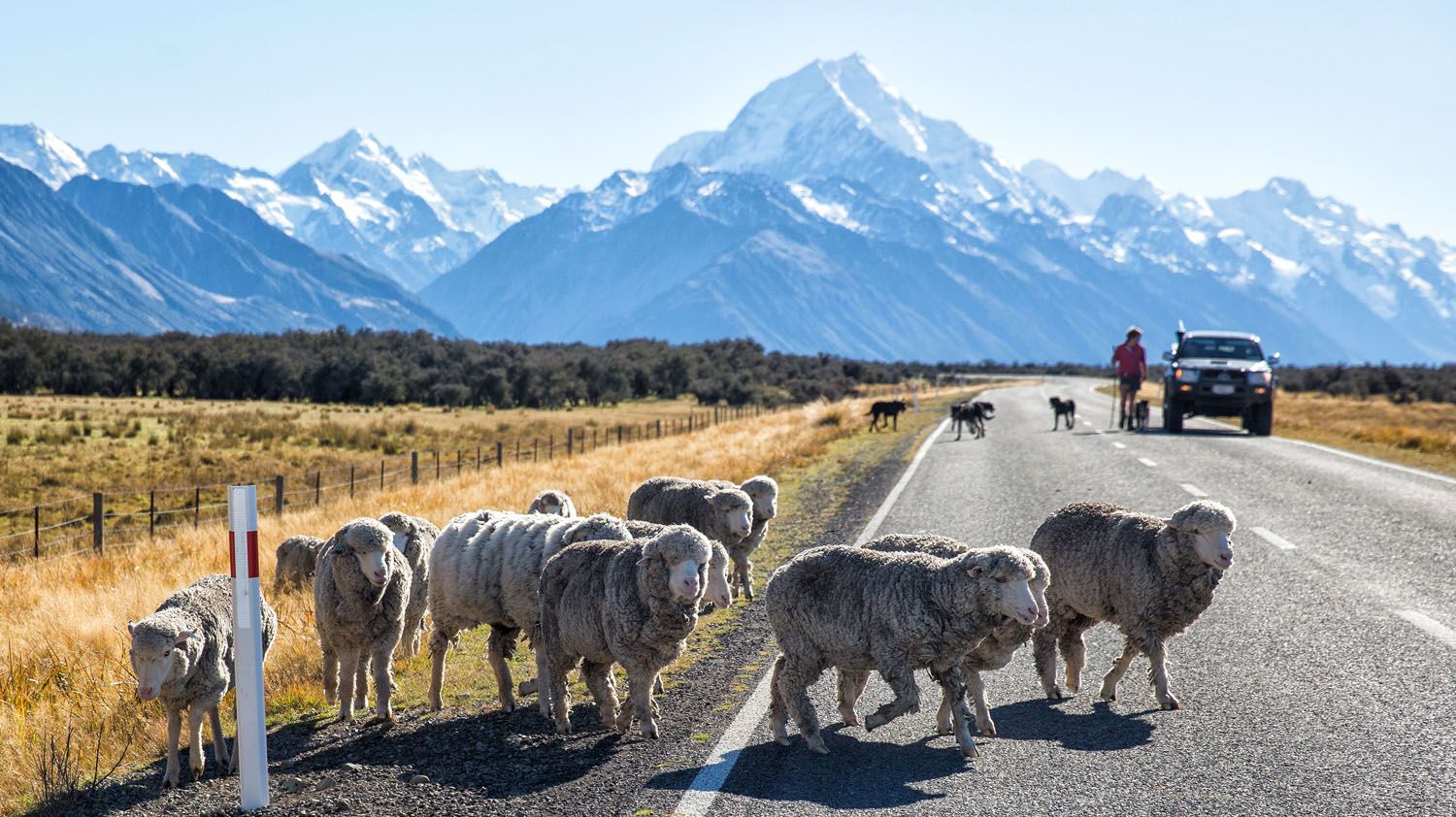 New Zealand Itinerary