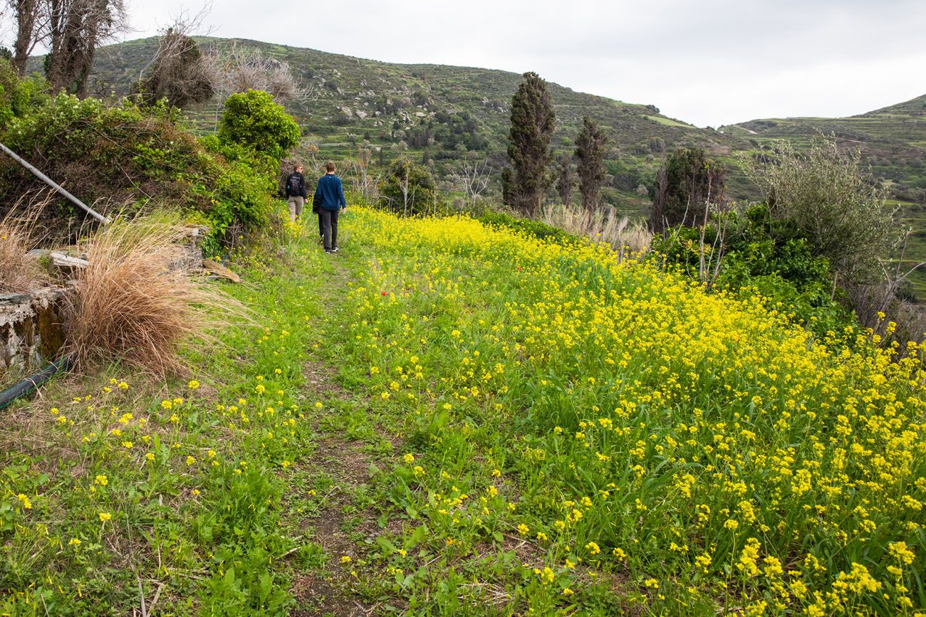 Faded Trail in Naxos