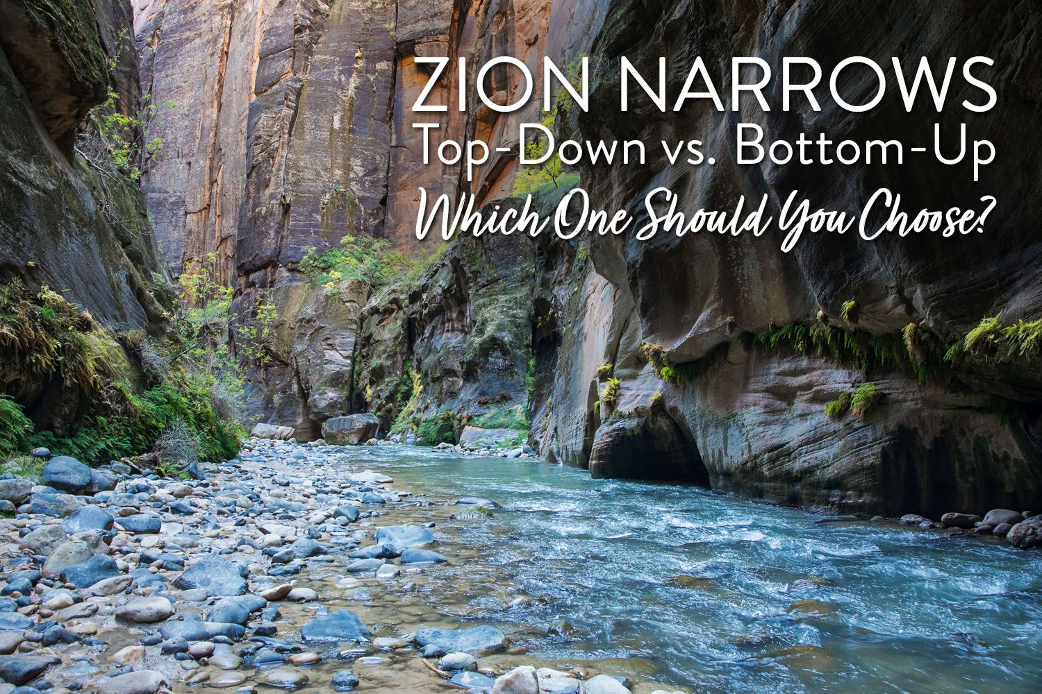 Narrows Top or Bottom