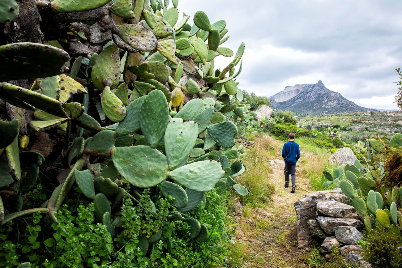 Naxos Village Walk