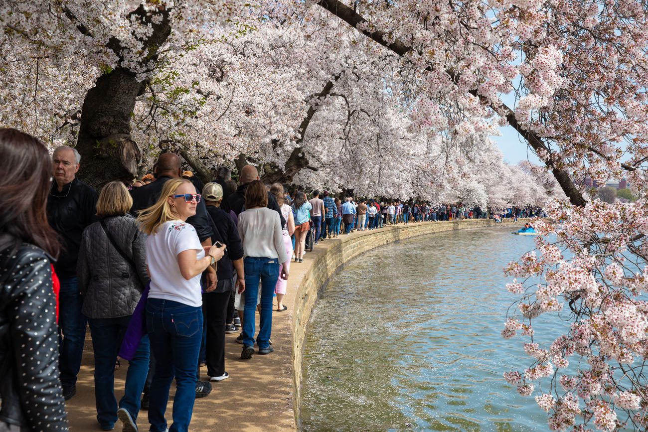 Tidal Basin Crowds