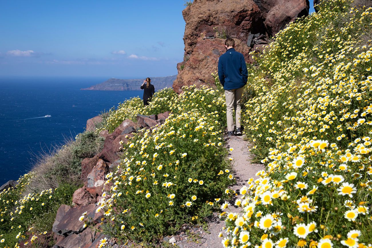 Wildflowers on Skaros Rock