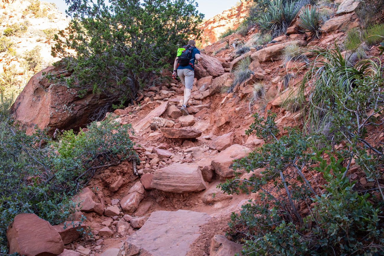 Bear Mountain Trail 5