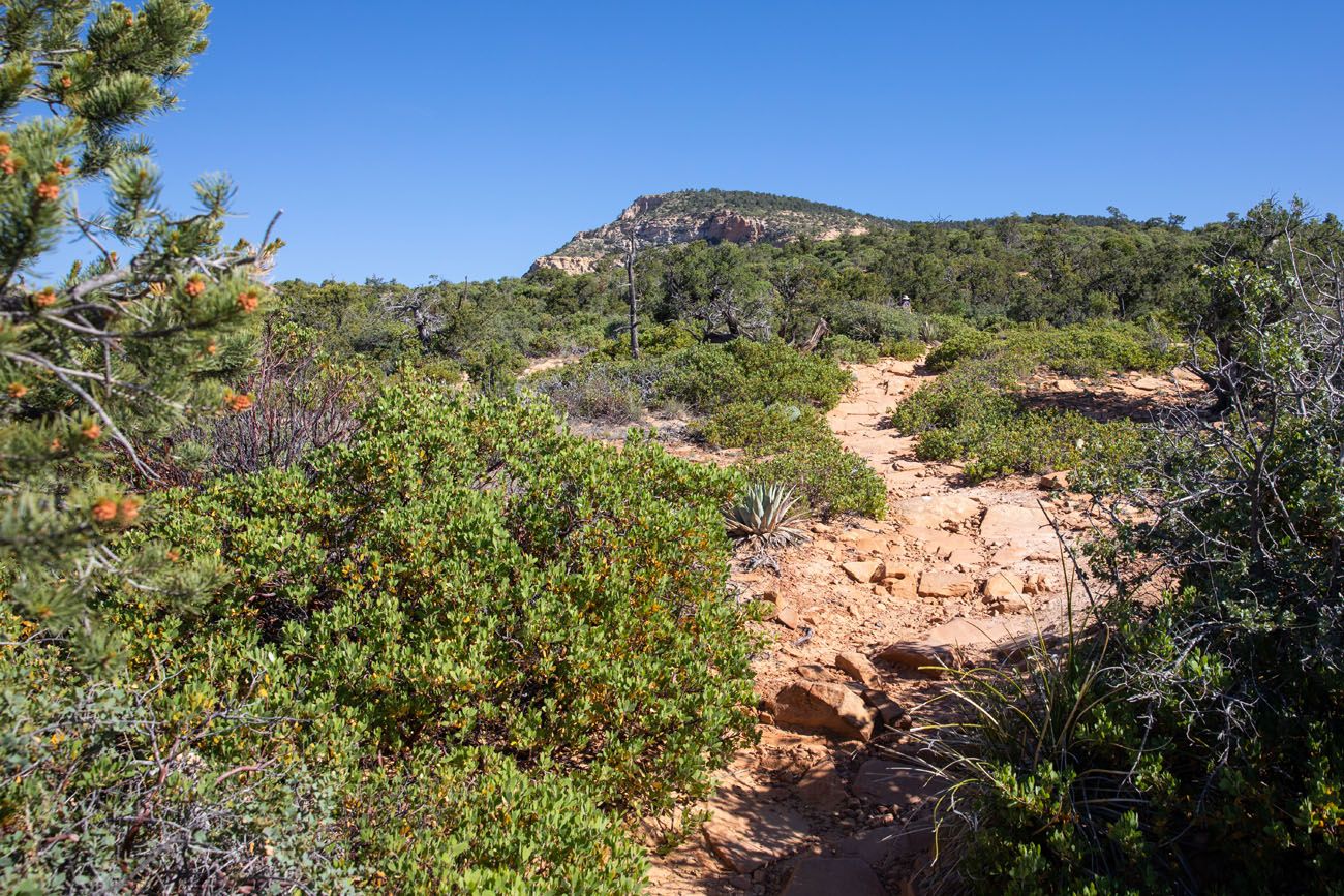 Bear Mountain Trail 7