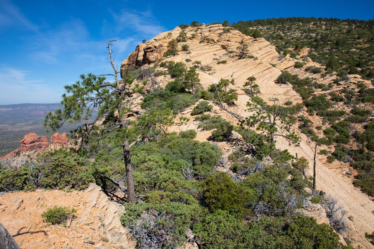 Bear Mountain Trail 9