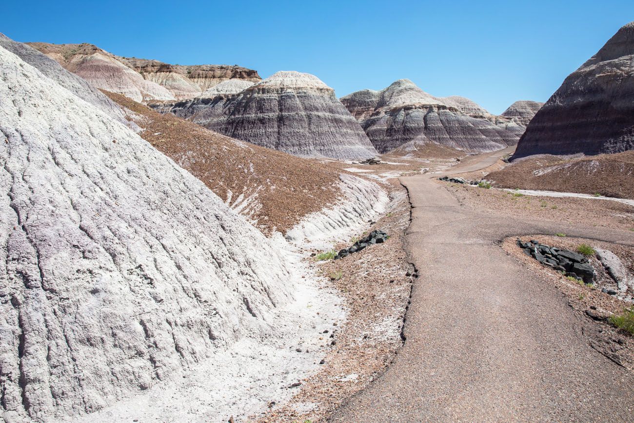 Best Things to do in Petrified Forest