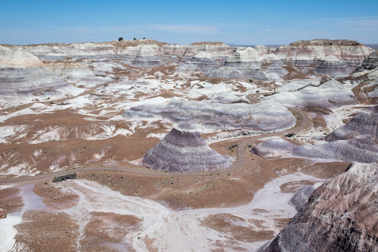 Blue Mesa Overlook