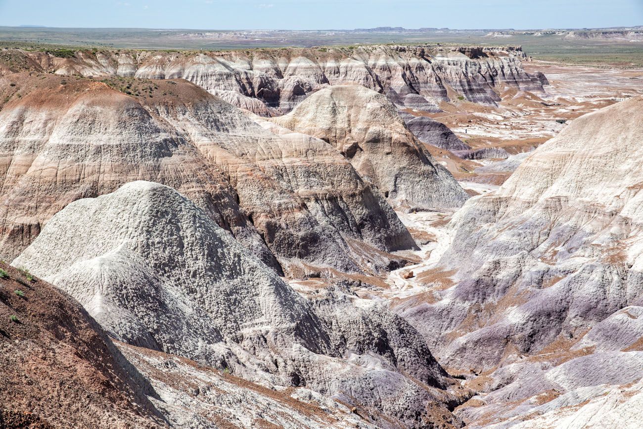 Blue Mesa