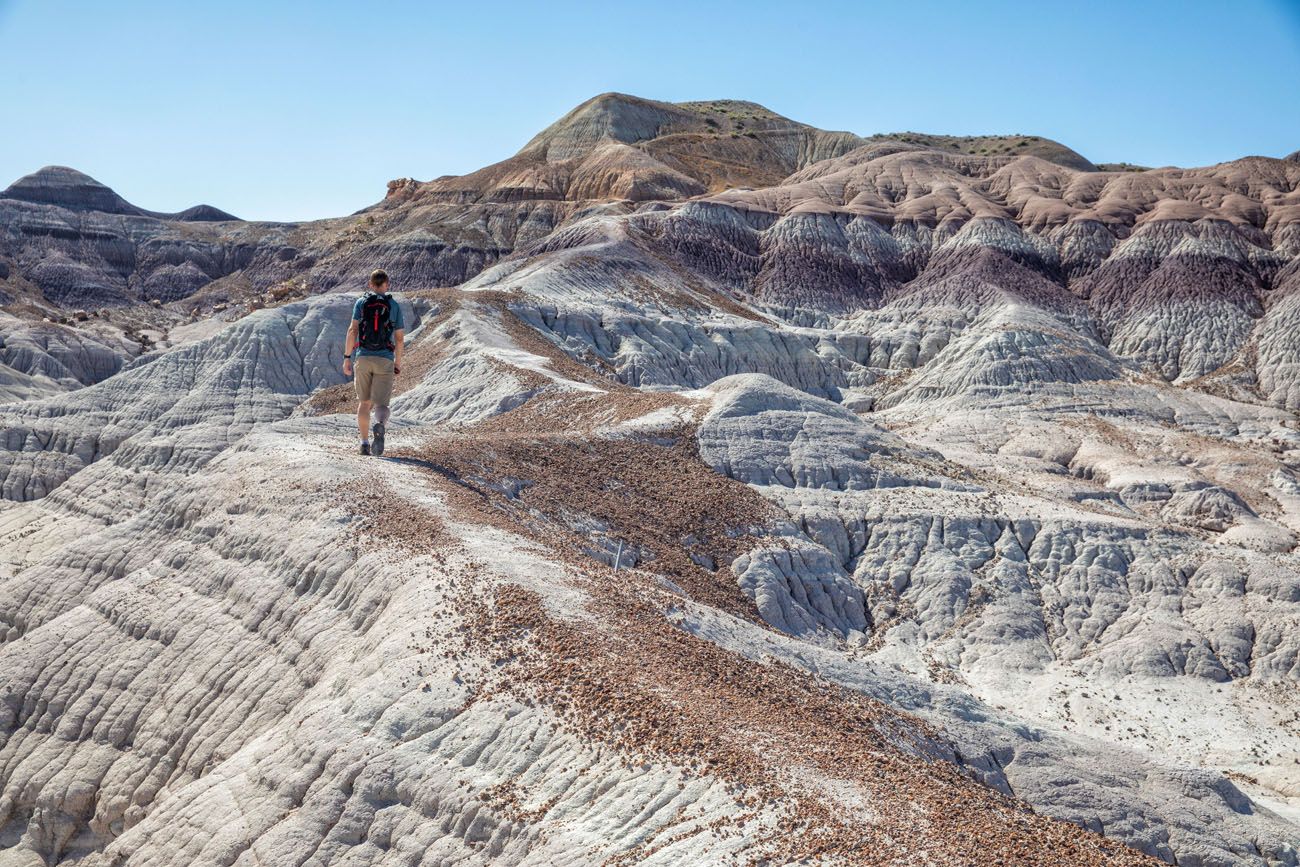 Hike Petrified Forest