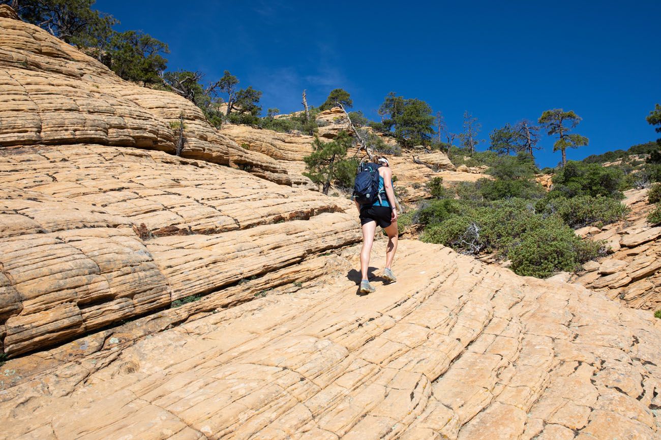 Hiking Trail