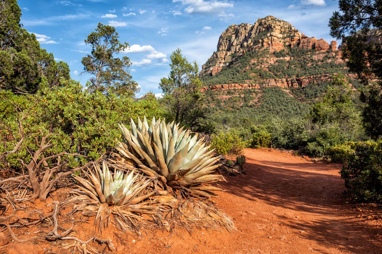 Hiking in the Desert