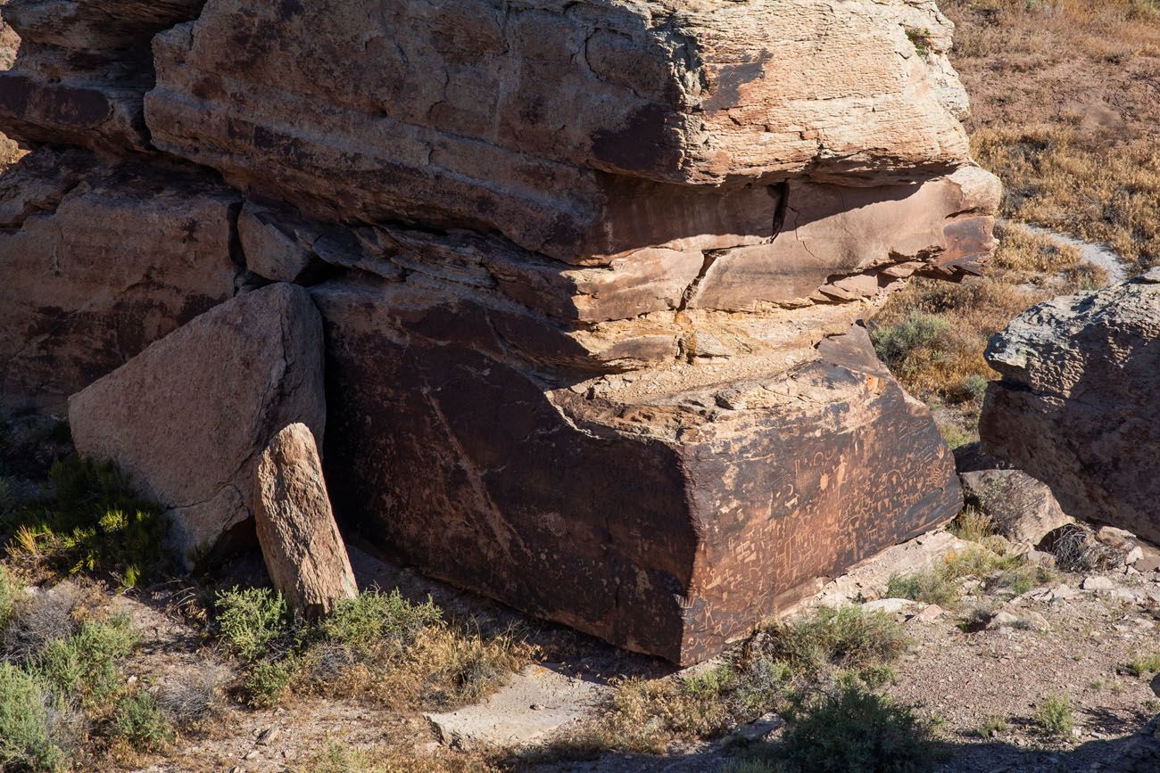 Newspaper Rock