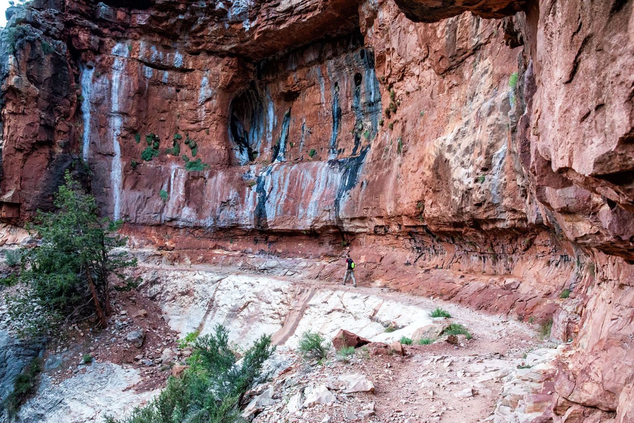 North Kaibab Trail Hike