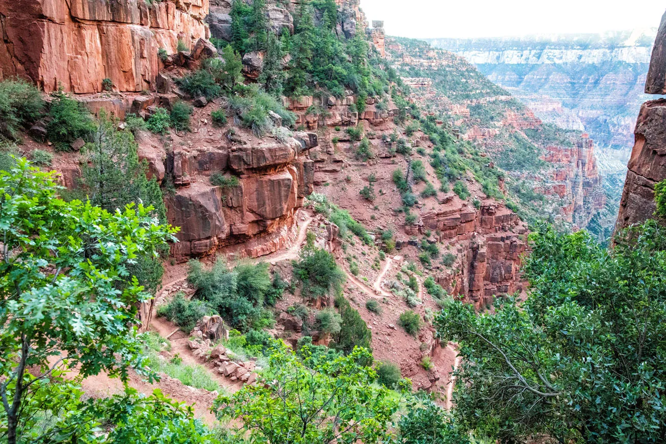 North Kaibab