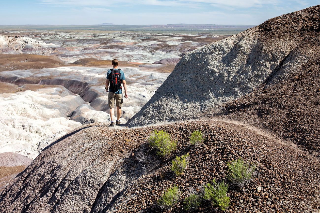 Petrified Forest Hike