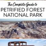 Petrified Forest Travel Guide