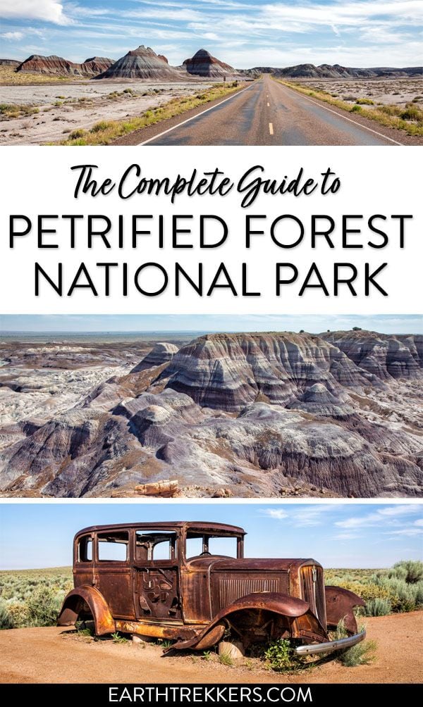 Petrified Forest Travel Guide
