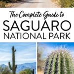 Saguaro National Park Guide