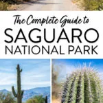 Saguaro National Park Guide