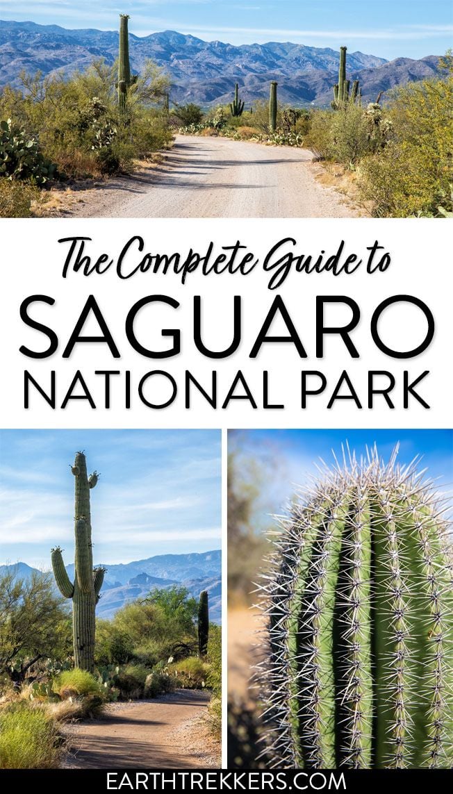 Saguaro National Park Guide